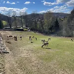Apartman Bergblick Sächsische Schweiz