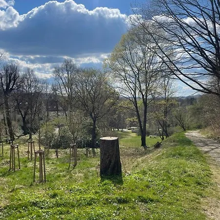 Bergblick Sächsische Schweiz