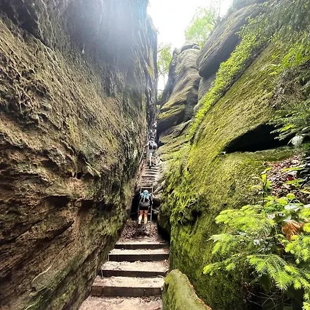 Bergblick Sächsische Schweiz Lejlighed *